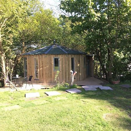 The Roundhouse - Unique Space Nestled In The Trees Begelly Exterior foto